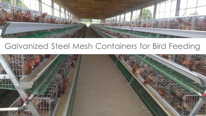 Mesh baskets for chicken and birds